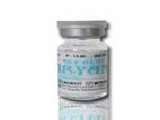 o&l_yearlyaryan.html